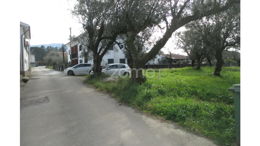 Terreno para Venda em Lousã e Vilarinho Foto 13