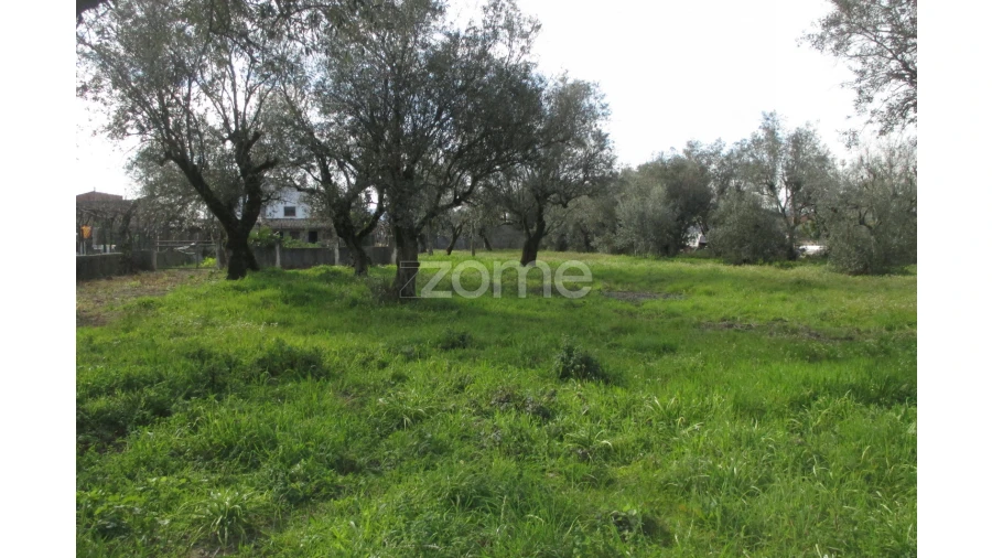 Terreno para Venda em Lousã e Vilarinho Foto 12