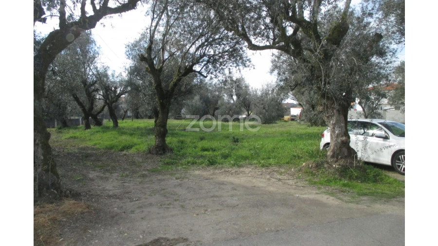 Terreno para Venda em Lousã e Vilarinho Foto 5