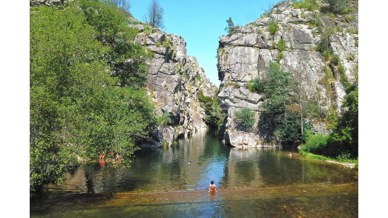 Terreno para Venda em Lousã e Vilarinho Foto 7