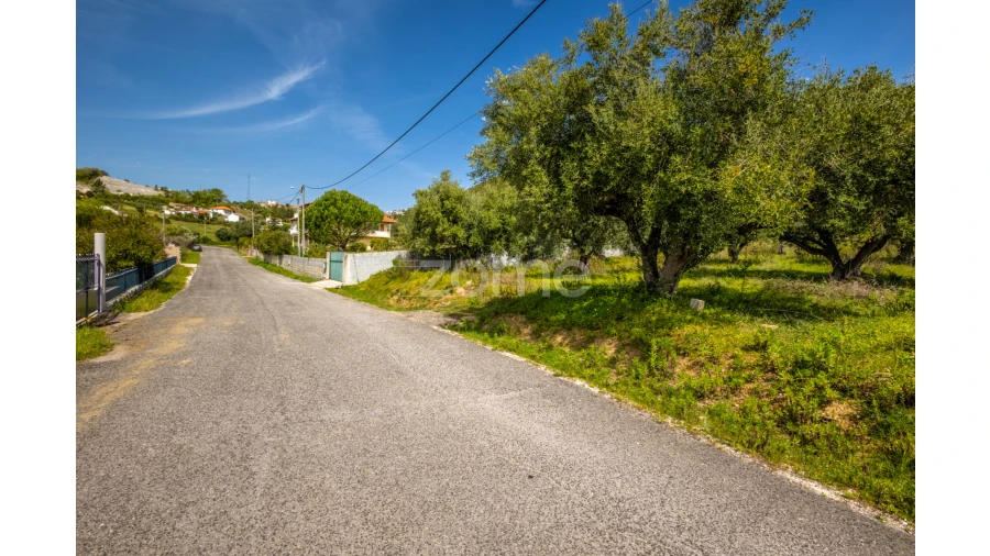 Terreno para Venda em Reguengo do Fetal Foto 7