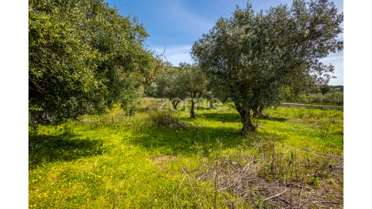 Terreno para Venda em Reguengo do Fetal Foto 4