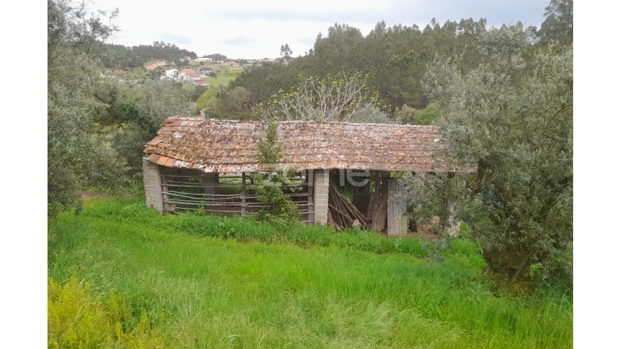 Moradia T2 para Venda em Vinha da Rainha Foto 39