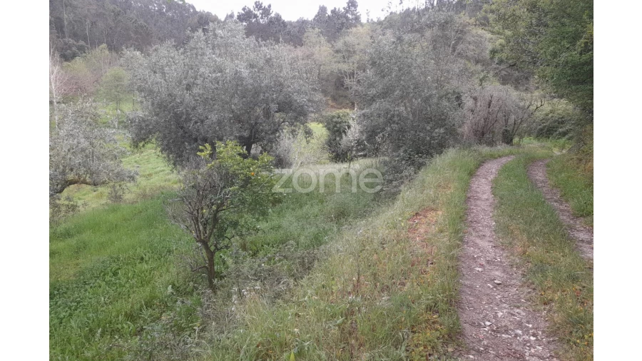 Moradia T2 para Venda em Vinha da Rainha Foto 28