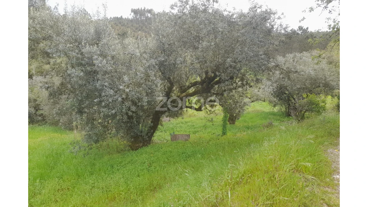Terreno para Venda em Vinha da Rainha Foto 4
