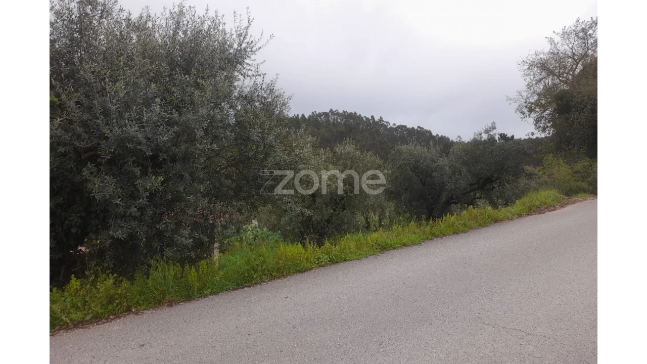 Terreno para Venda em Vinha da Rainha Foto 6