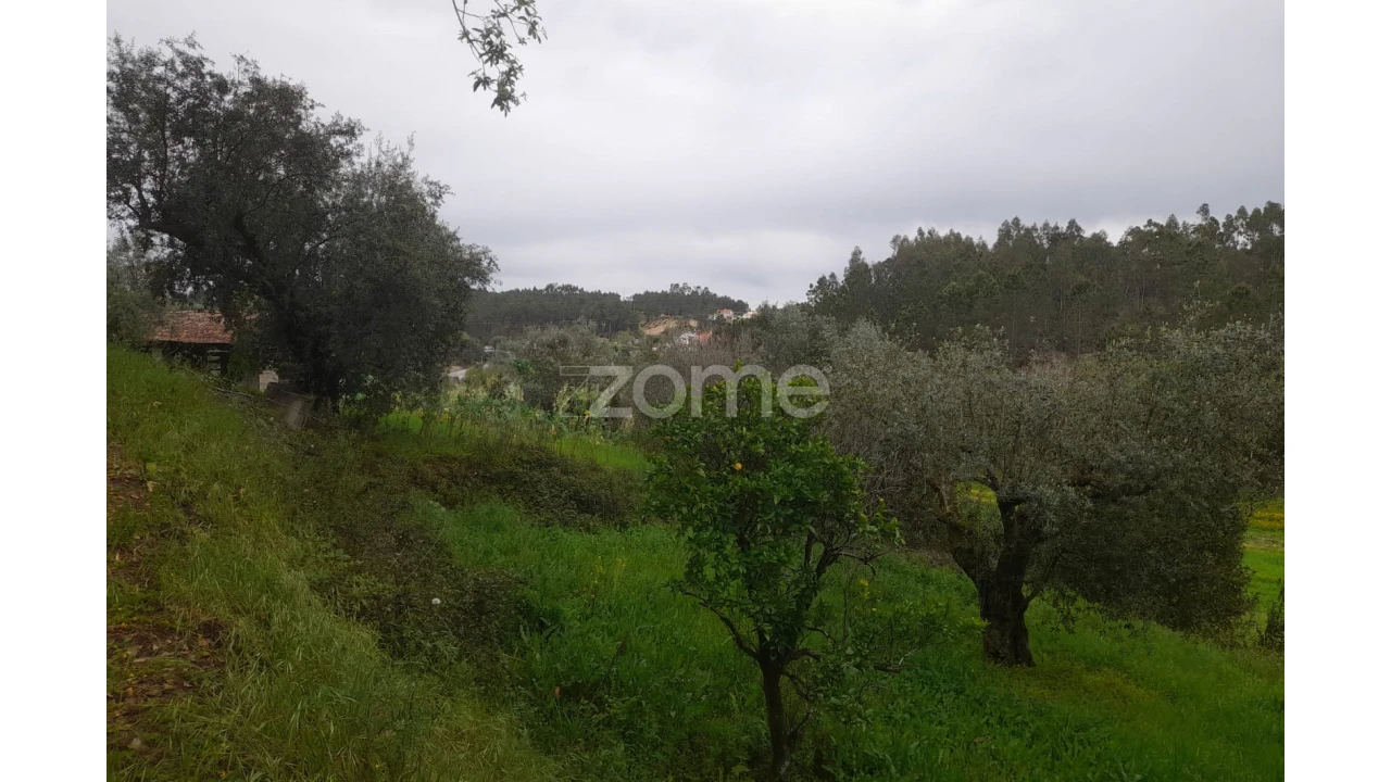 Terreno para Venda em Vinha da Rainha Foto 1
