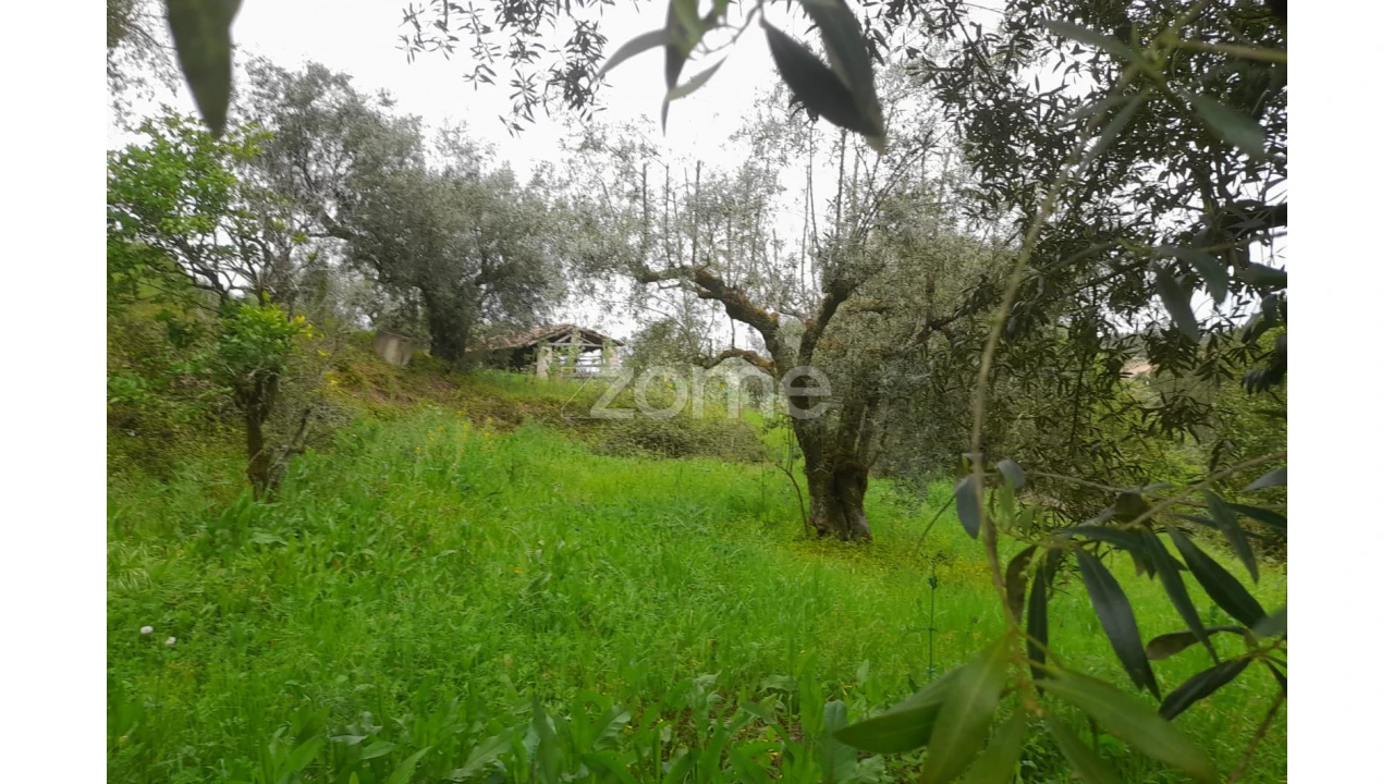 Terreno para Venda em Vinha da Rainha Foto 2