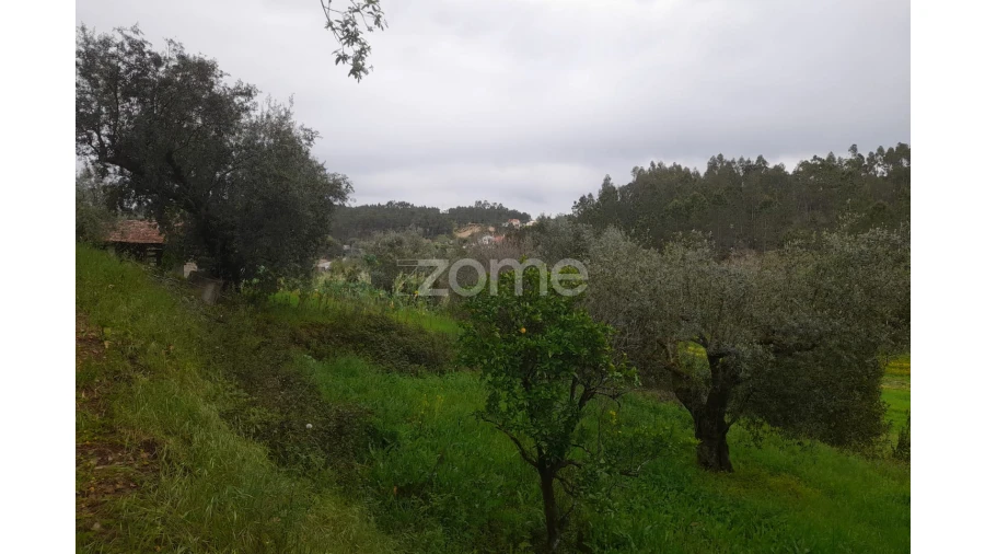 Terreno para Venda em Vinha da Rainha