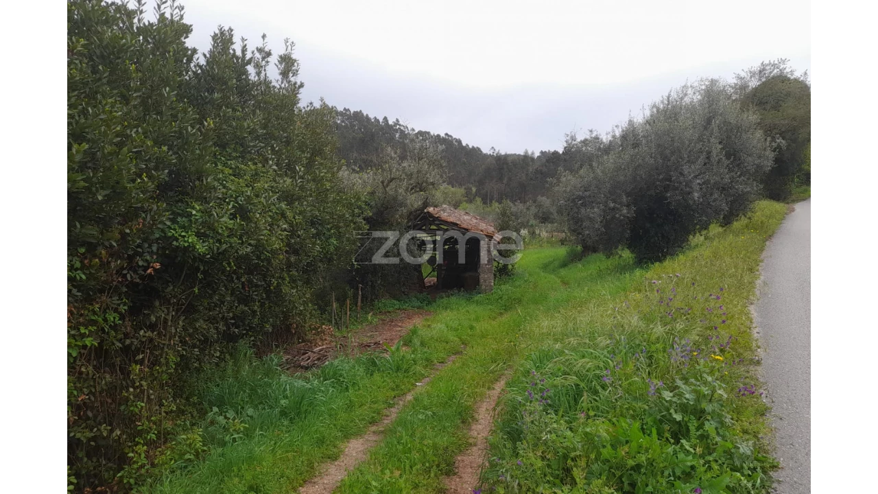 Terreno para Venda em Vinha da Rainha Foto 7