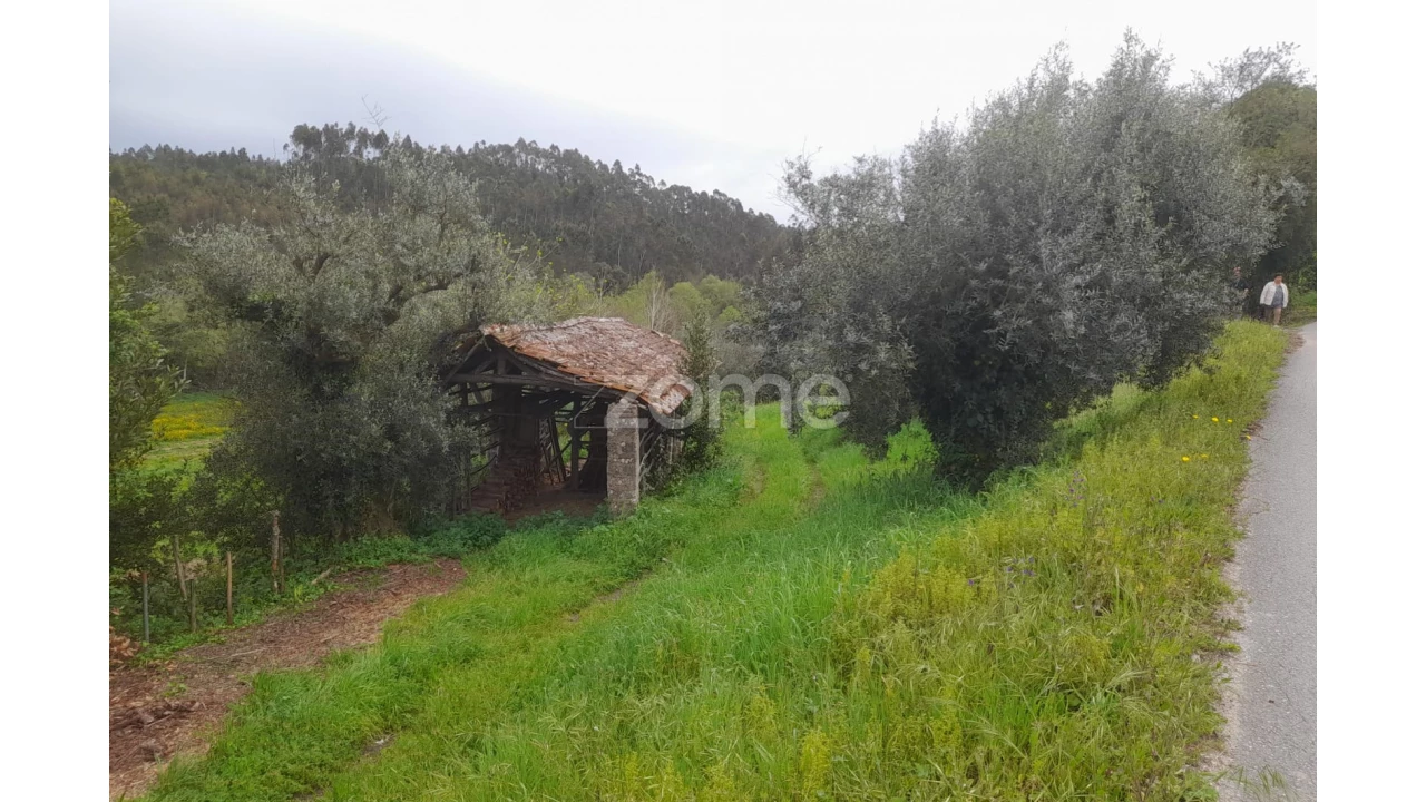 Terreno para Venda em Vinha da Rainha Foto 8