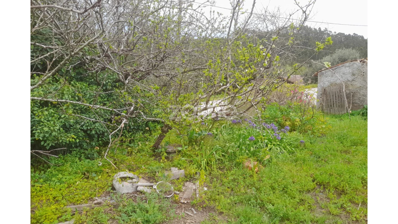 Terreno para Venda em Vinha da Rainha Foto 9