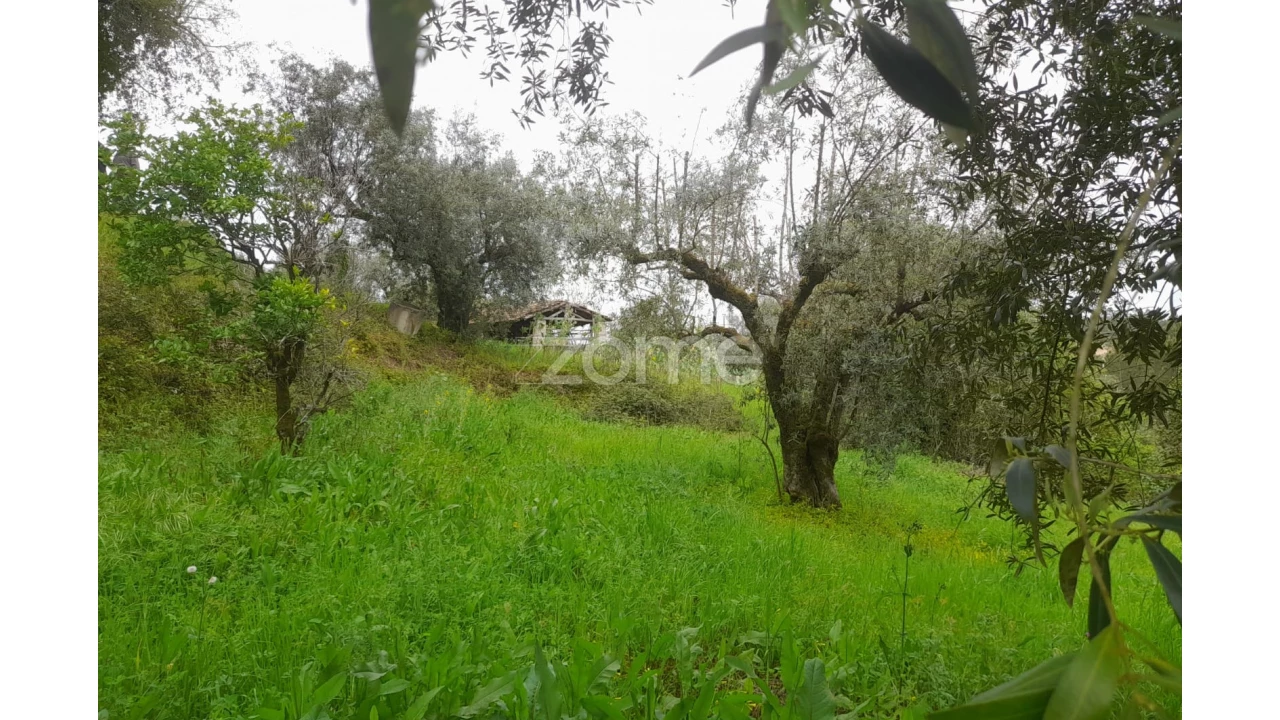 Terreno para Venda em Vinha da Rainha Foto 15