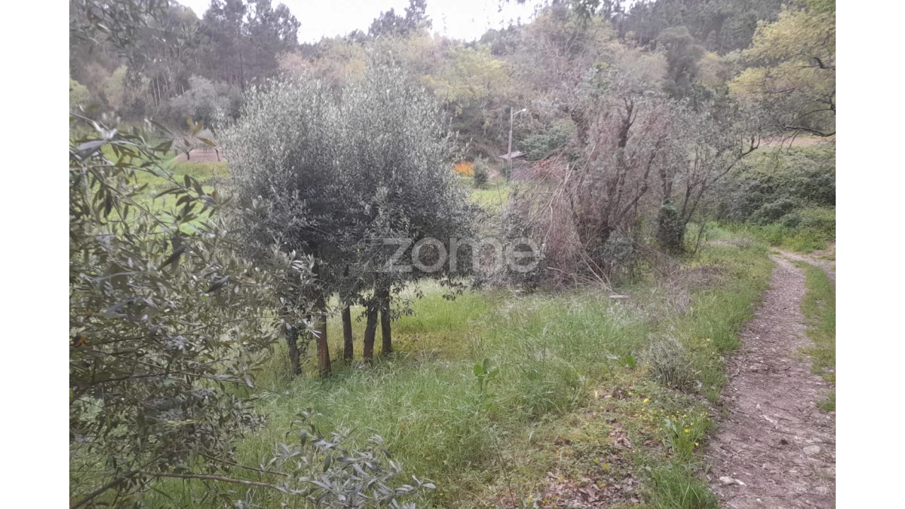Terreno para Venda em Vinha da Rainha Foto 21