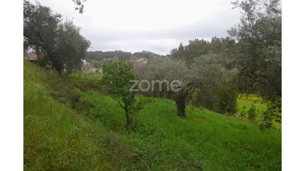 Terreno para Venda em Vinha da Rainha Foto 22