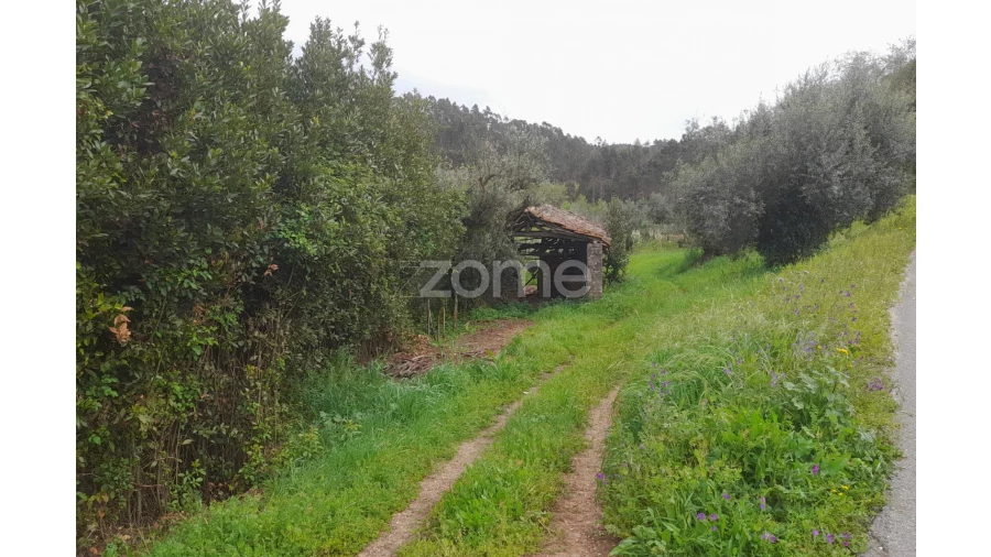 Terreno para Venda em Vinha da Rainha Foto 5
