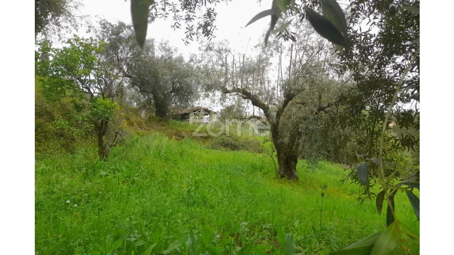 Terreno para Venda em Vinha da Rainha Foto 1
