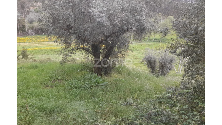 Terreno para Venda em Vinha da Rainha Foto 23