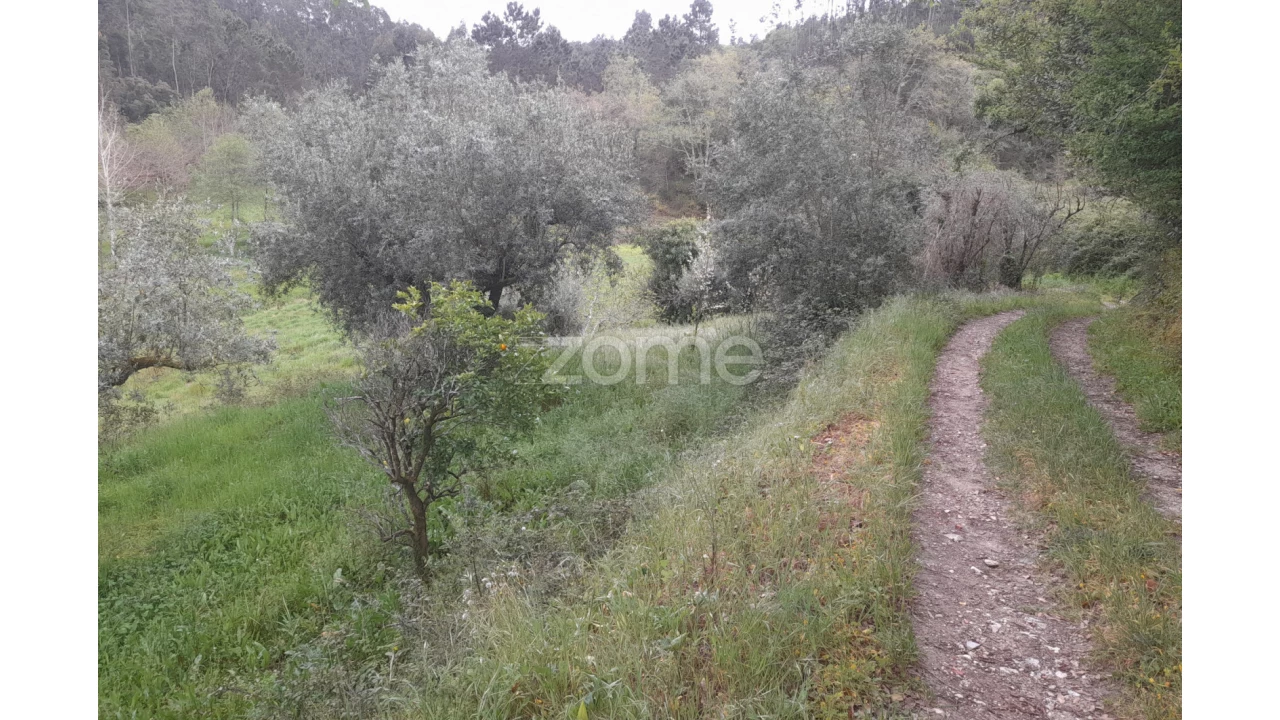 Terreno para Venda em Vinha da Rainha Foto 24