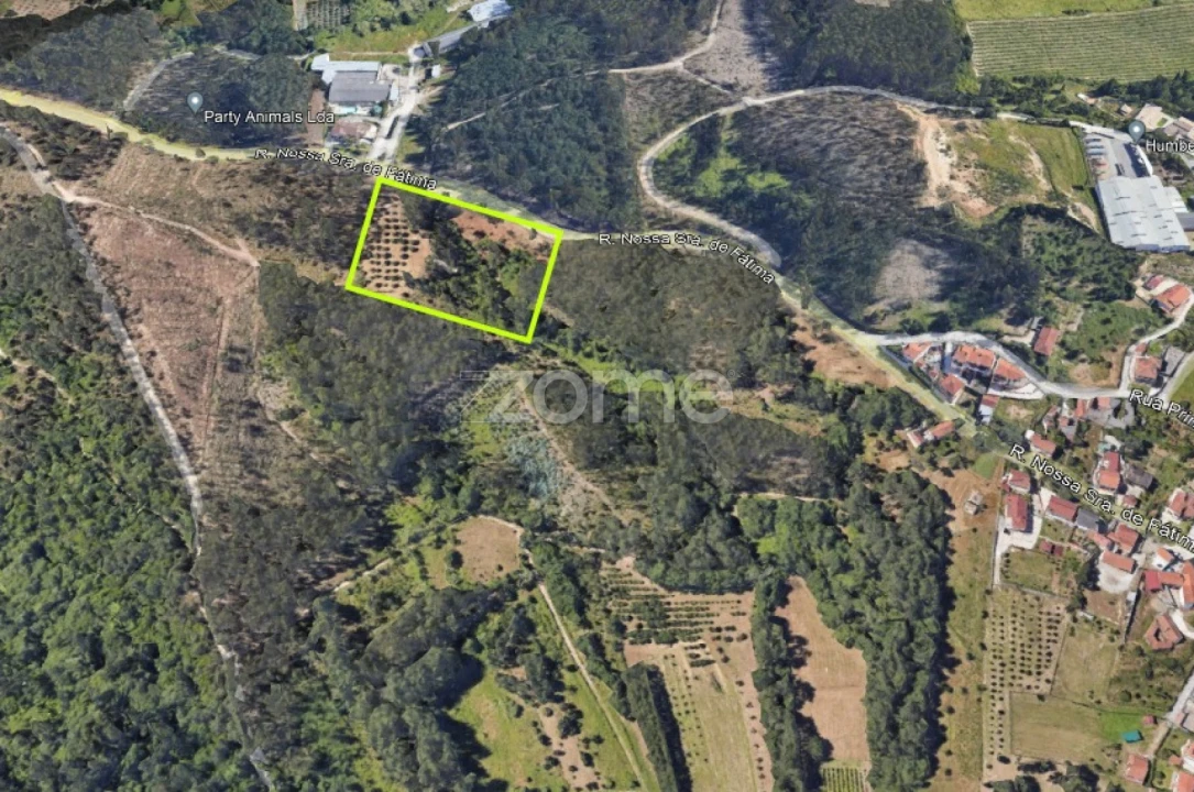 Terreno para Venda em Leiria, Pousos, Barreira e Cortes Foto 3