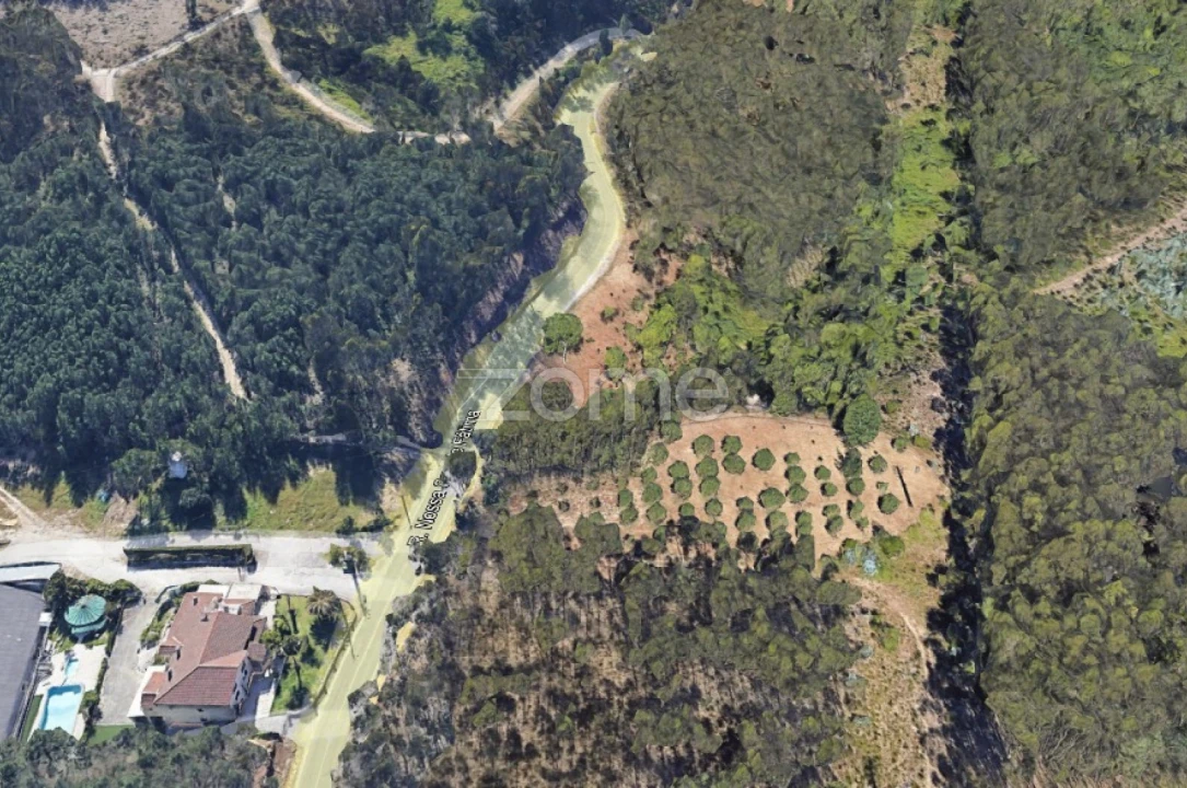 Terreno para Venda em Leiria, Pousos, Barreira e Cortes Foto 6