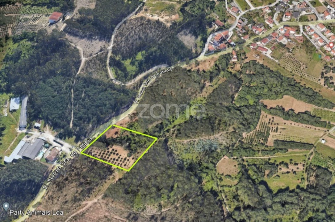 Terreno para Venda em Leiria, Pousos, Barreira e Cortes Foto 2