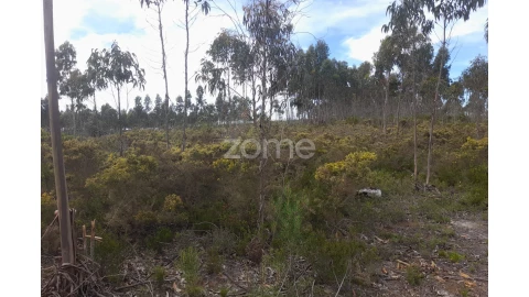 Terreno para Venda em Marinha Grande