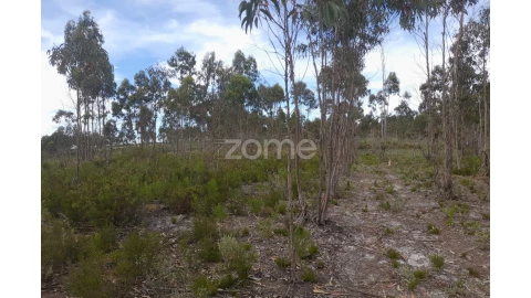 Terreno para Venda em Marinha Grande