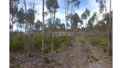 Terreno para Venda em Marinha Grande