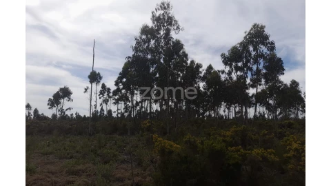 Terreno para Venda em Marinha Grande
