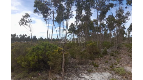 Terreno para Venda em Marinha Grande