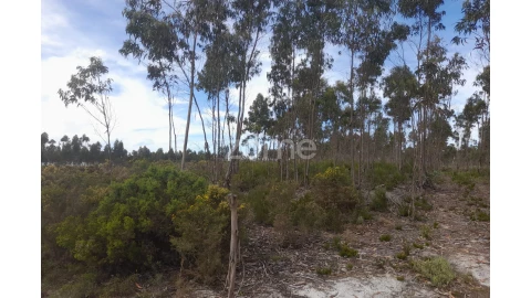 Terreno para Venda em Marinha Grande
