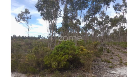 Terreno para Venda em Marinha Grande