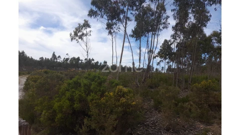 Terreno para Venda em Marinha Grande