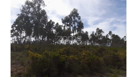 Terreno para Venda em Marinha Grande