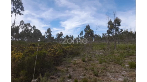 Terreno para Venda em Marinha Grande