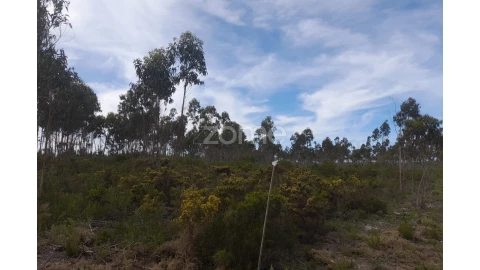 Terreno para Venda em Marinha Grande