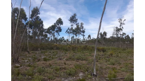 Terreno para Venda em Marinha Grande