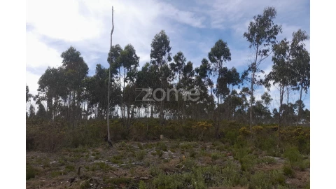 Terreno para Venda em Marinha Grande