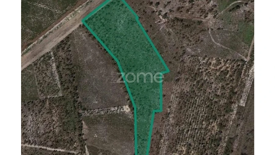 Terreno para Venda em Marinha Grande Foto 26