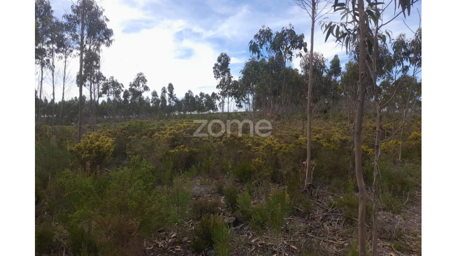 Terreno para Venda em Marinha Grande Foto 11