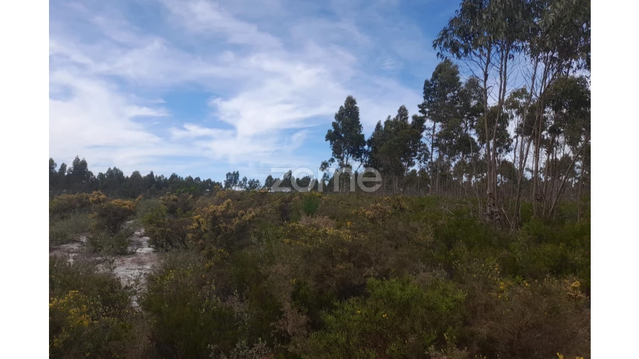 Terreno para Venda em Marinha Grande Foto 18