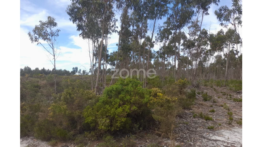 Terreno para Venda em Marinha Grande Foto 23