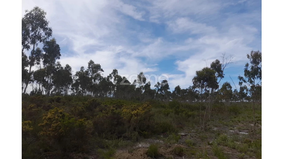 Terreno para Venda em Marinha Grande Foto 3