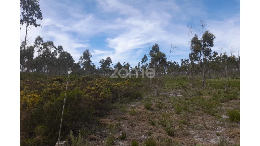 Terreno para Venda em Marinha Grande Foto 4