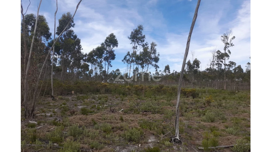 Terreno para Venda em Marinha Grande Foto 6