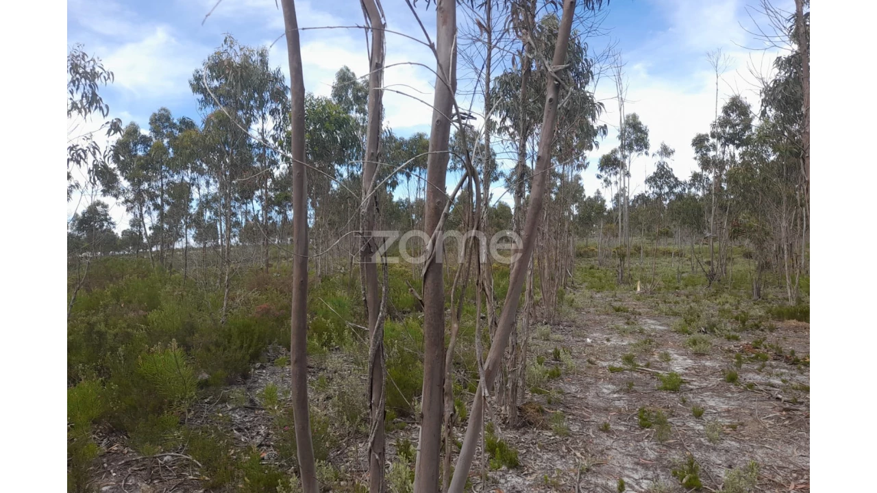 Terreno para Venda em Marinha Grande Foto 14