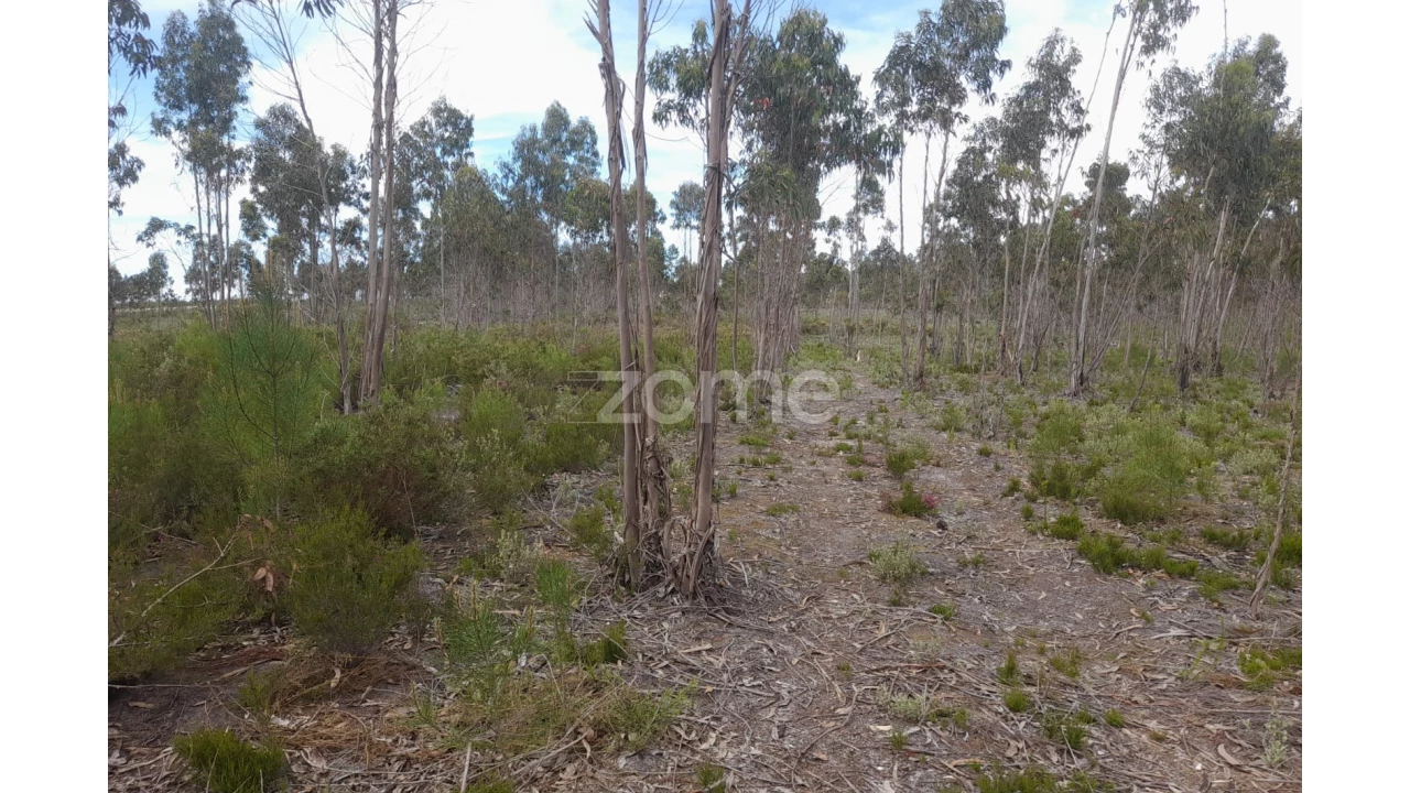 Terreno para Venda em Marinha Grande Foto 16