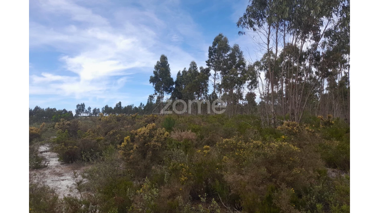 Terreno para Venda em Marinha Grande Foto 19