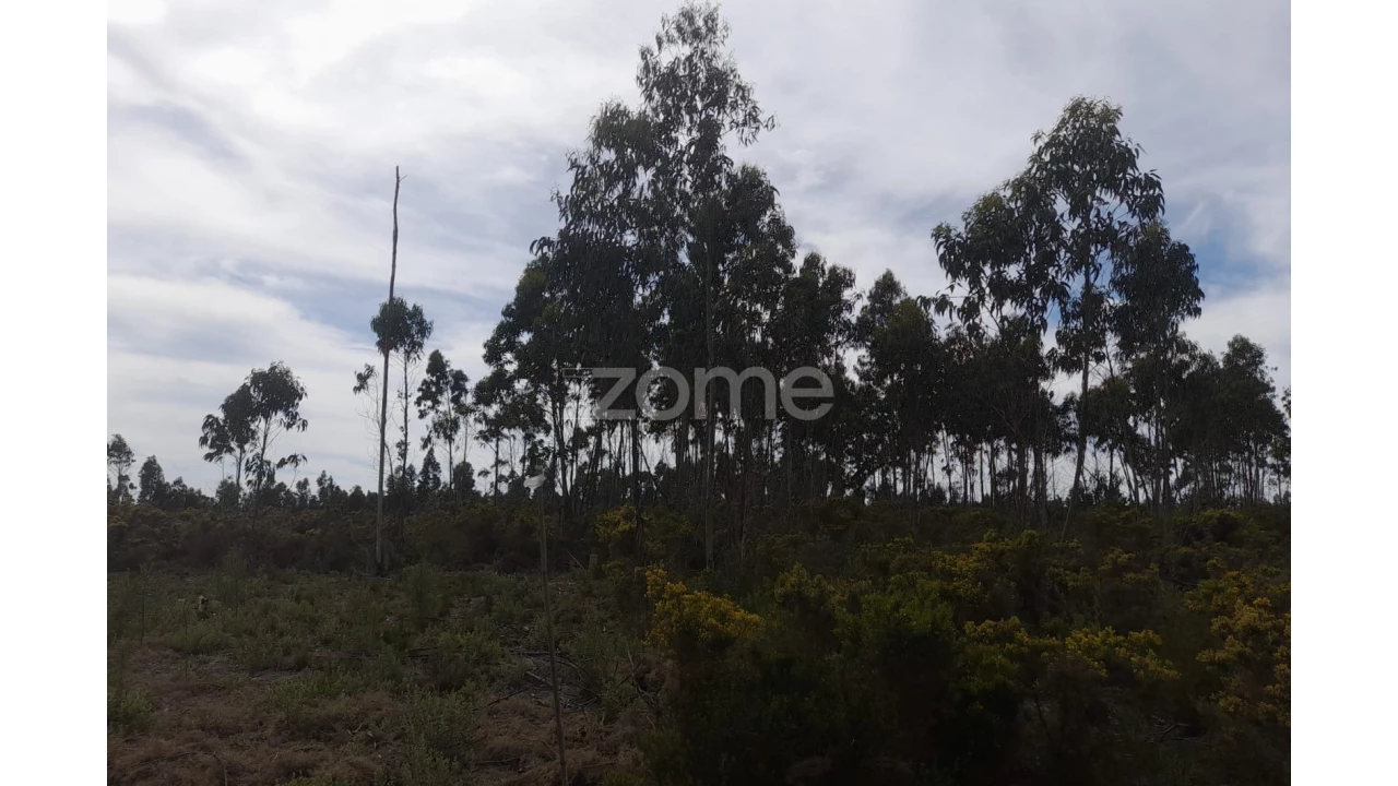 Terreno para Venda em Marinha Grande Foto 2
